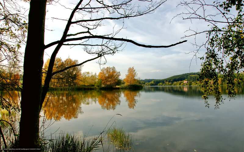 Autumn lake with tree branches