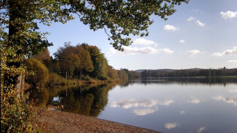 Autumn lake with tree canopy