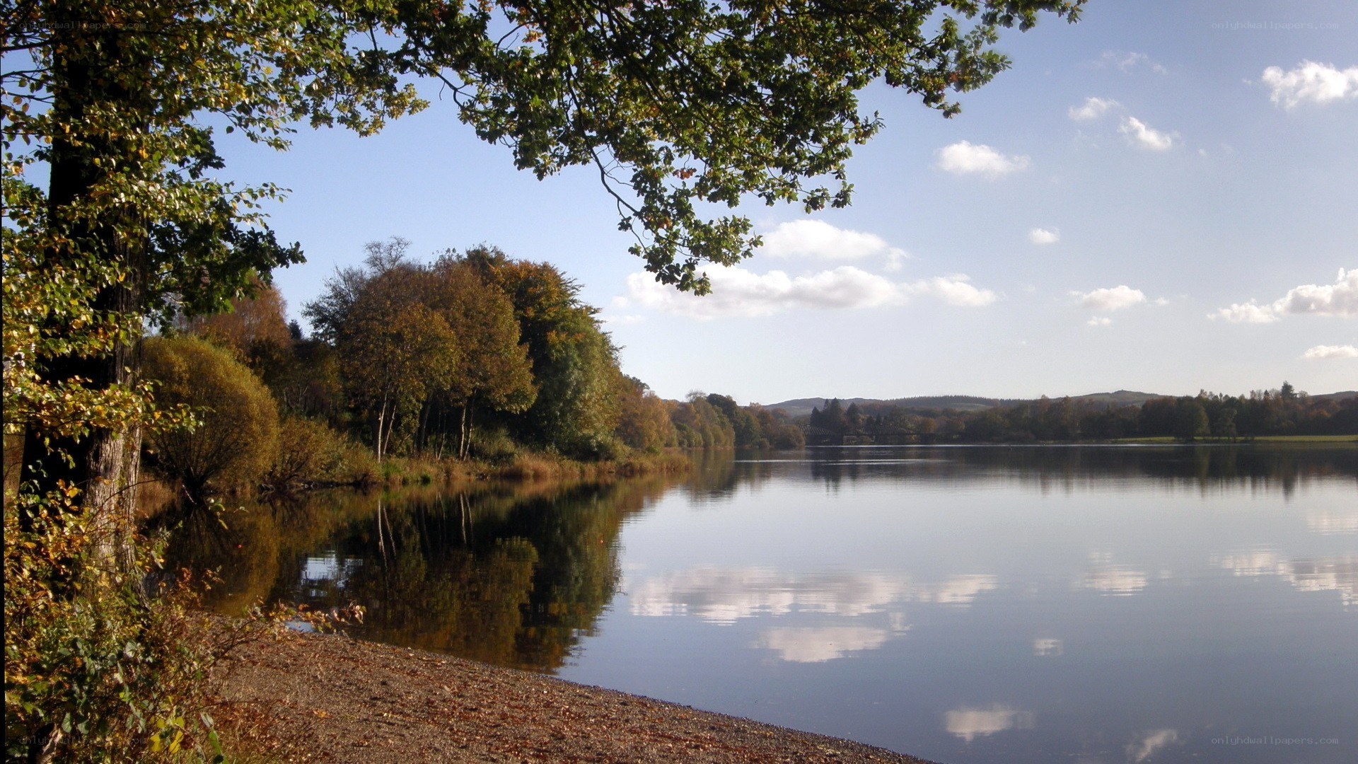 Autumn lake with tree canopy