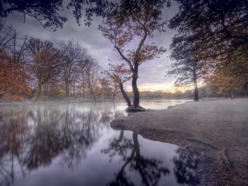 Autumn lake with tree reflection