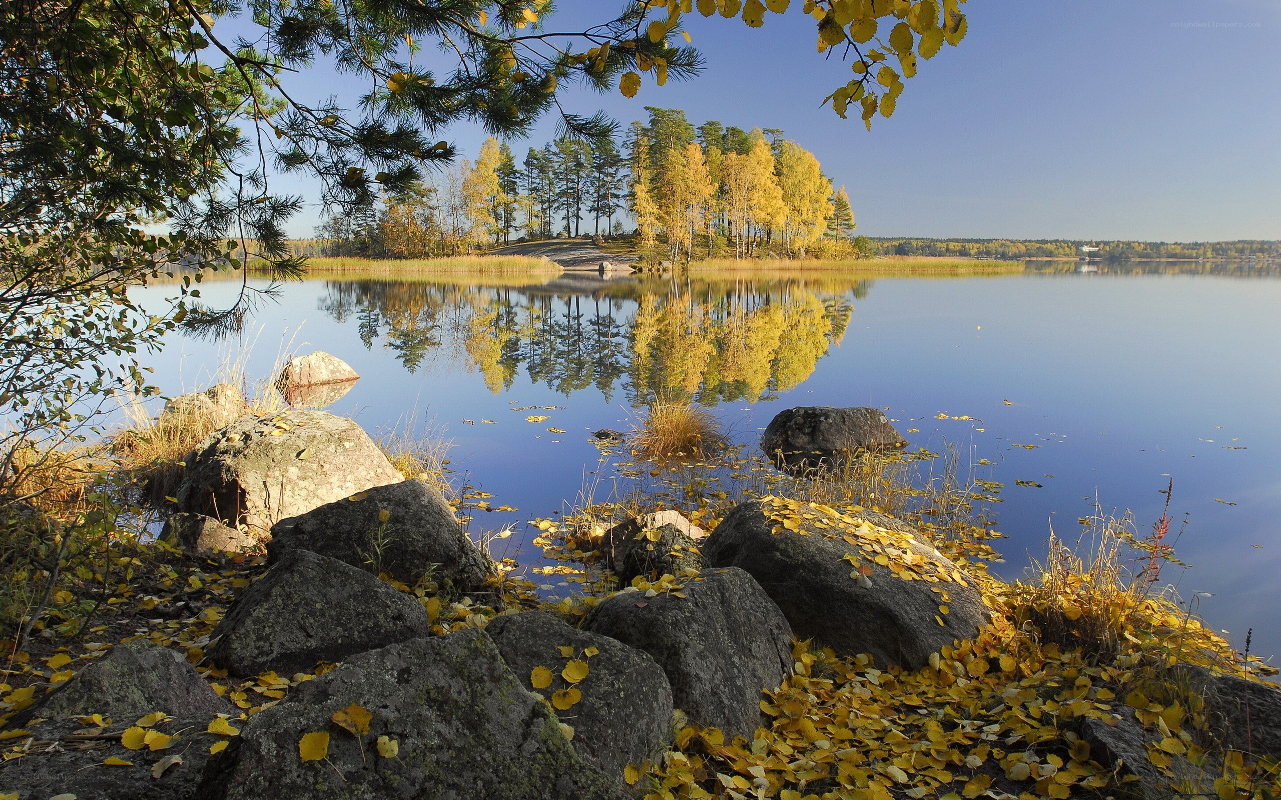 Autumn lake with tree reflection