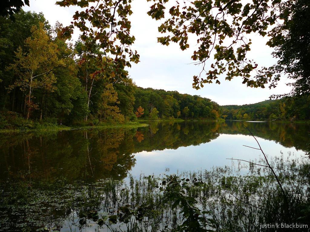 Autumn lake with tree reflections