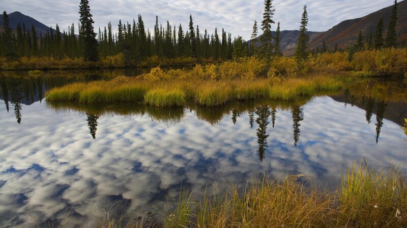 Autumn lake with tree reflections