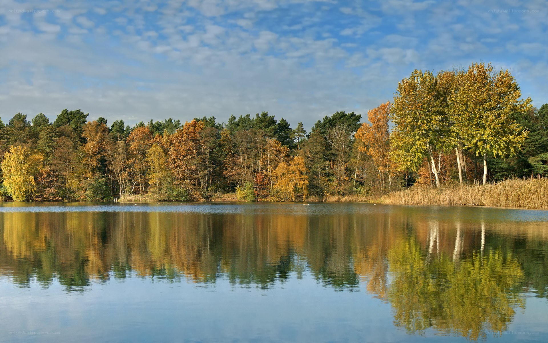 Autumn lake with tree reflections