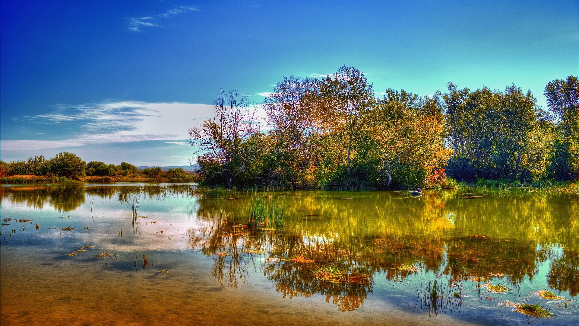 Autumn lake with tree reflections