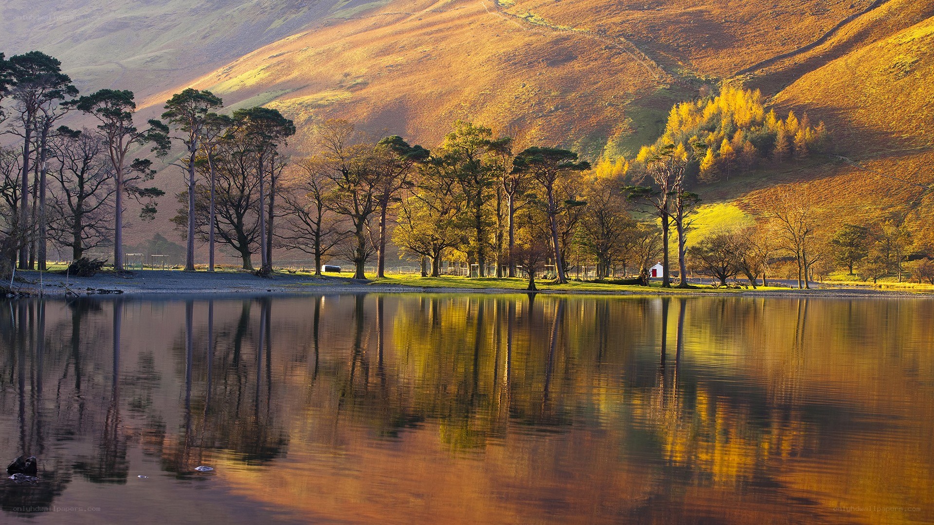 Autumn lake with tree reflections