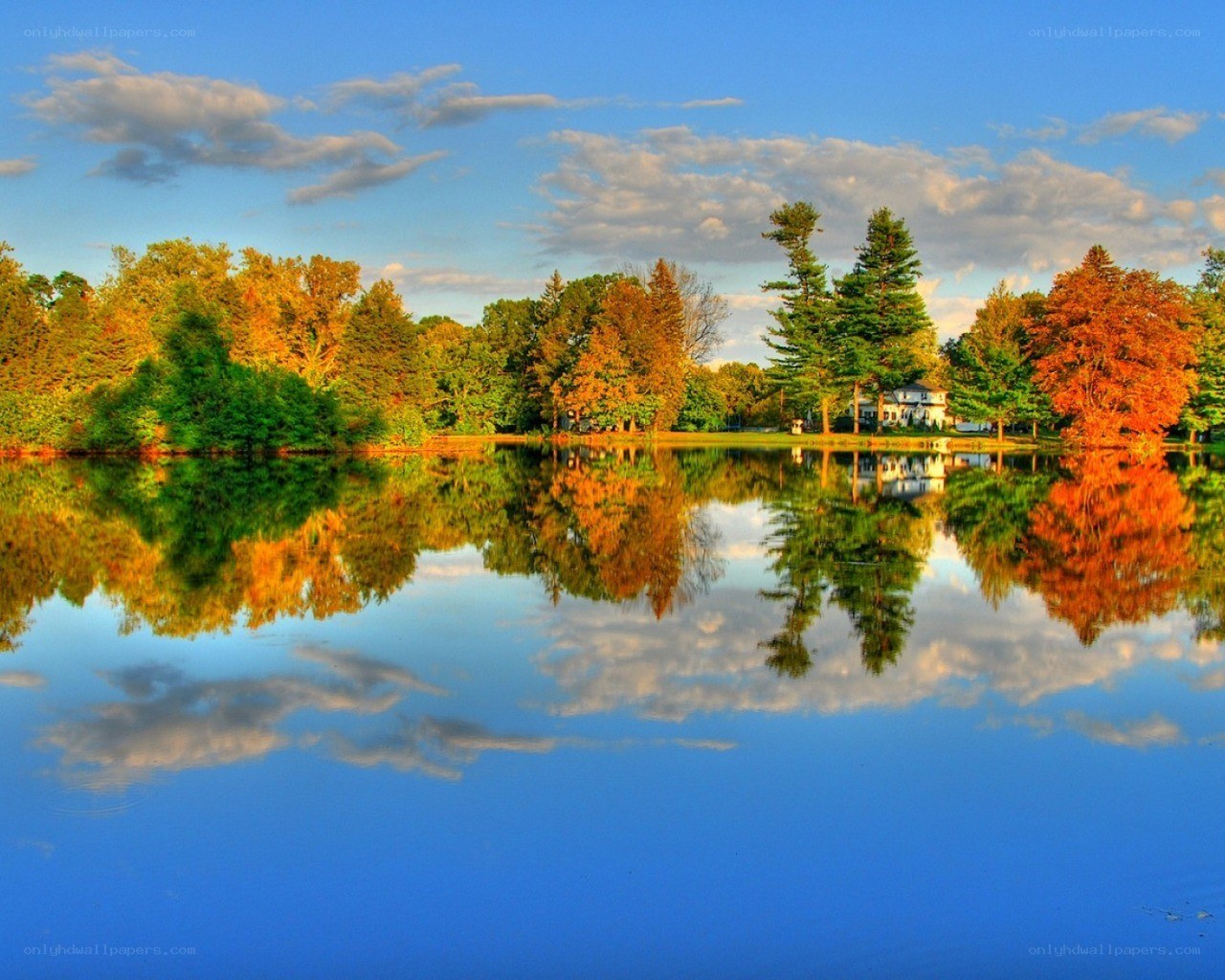 Autumn lake with tree reflections