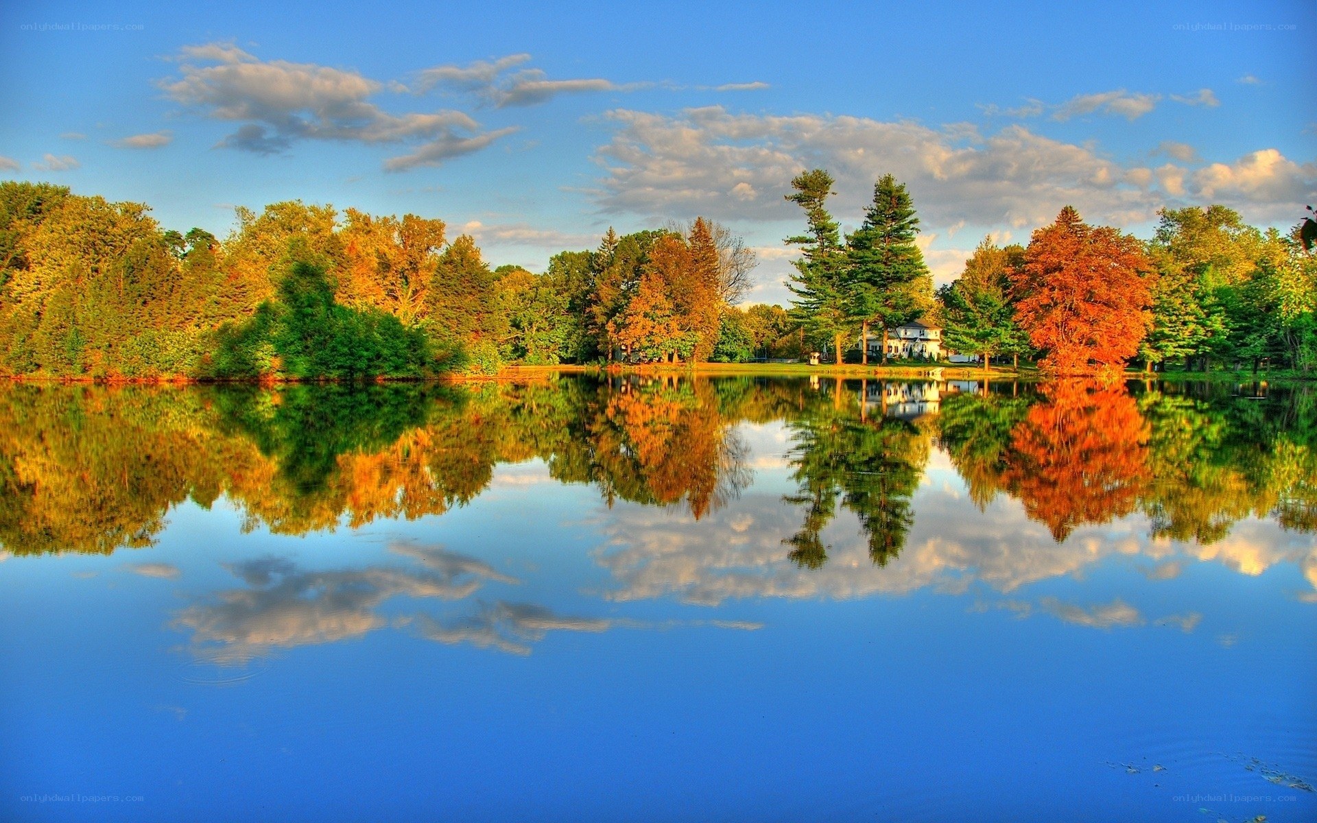 Autumn lake with tree reflections