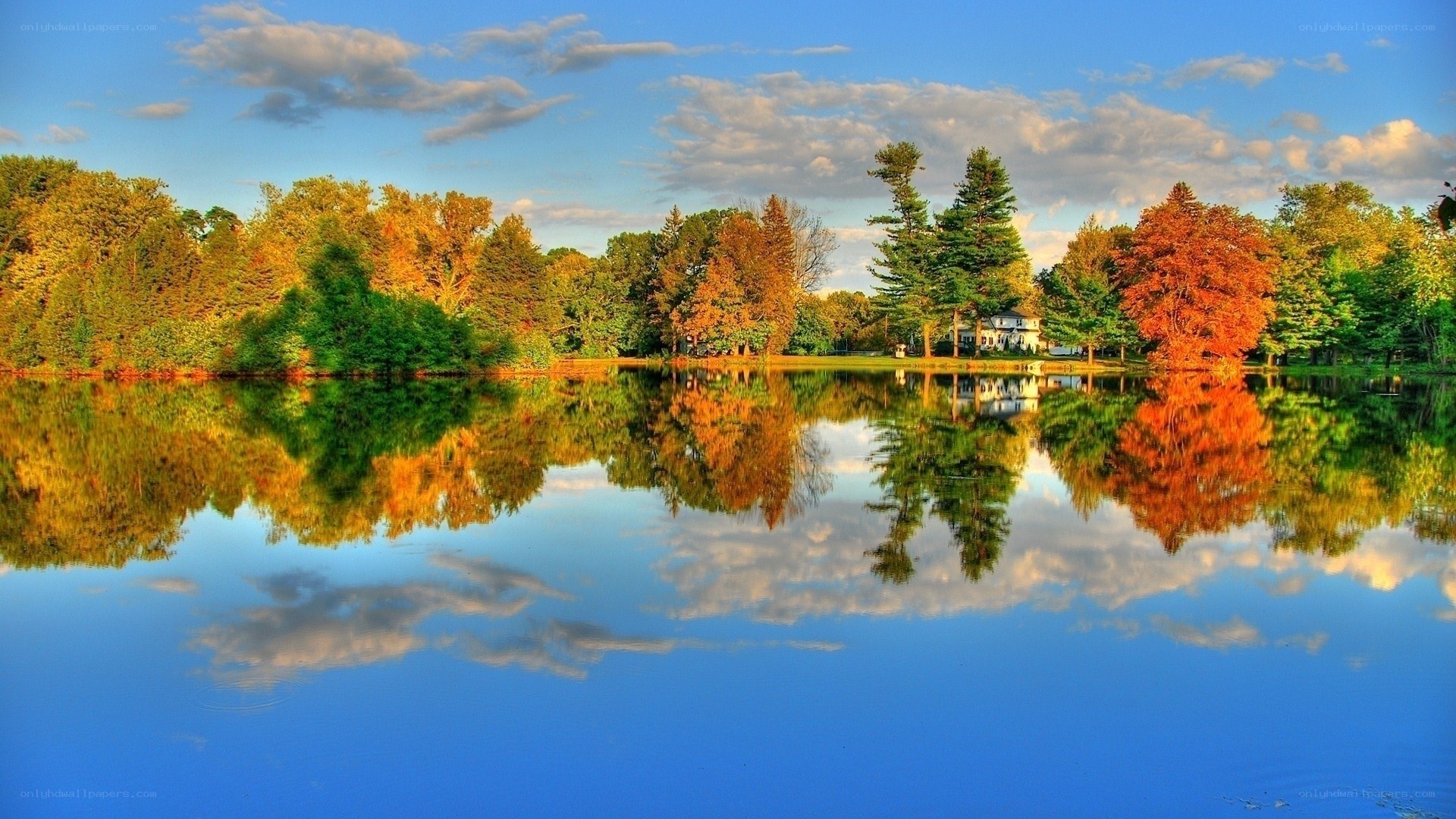Autumn lake with tree reflections