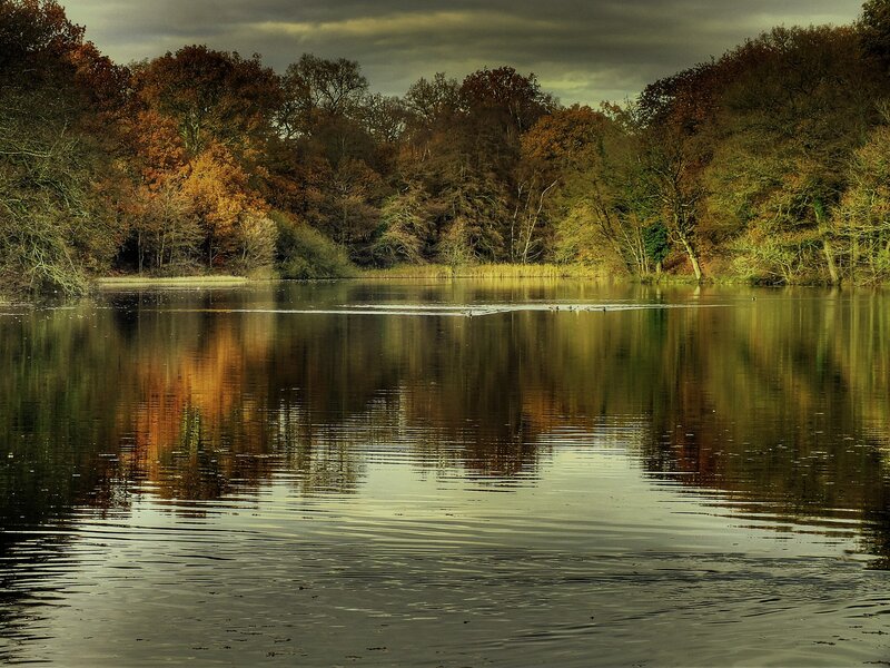 Autumn lake with tree reflections