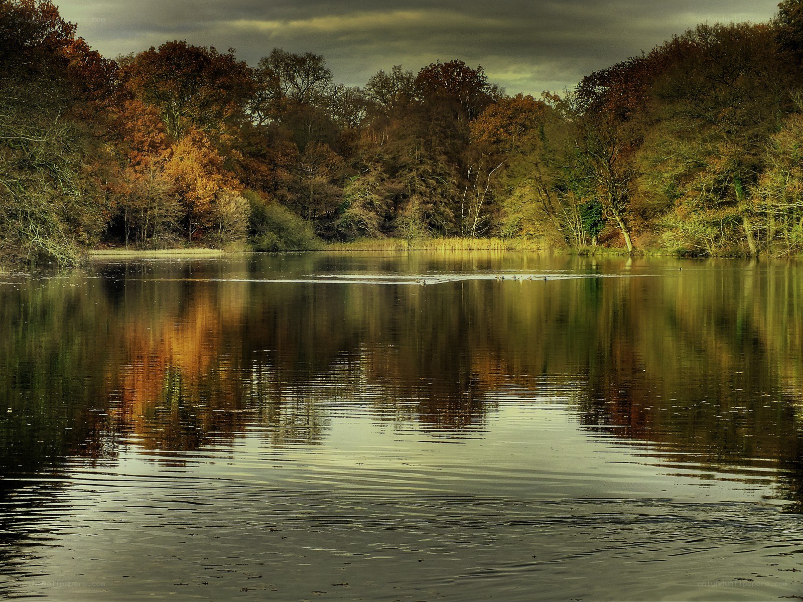 Autumn lake with tree reflections