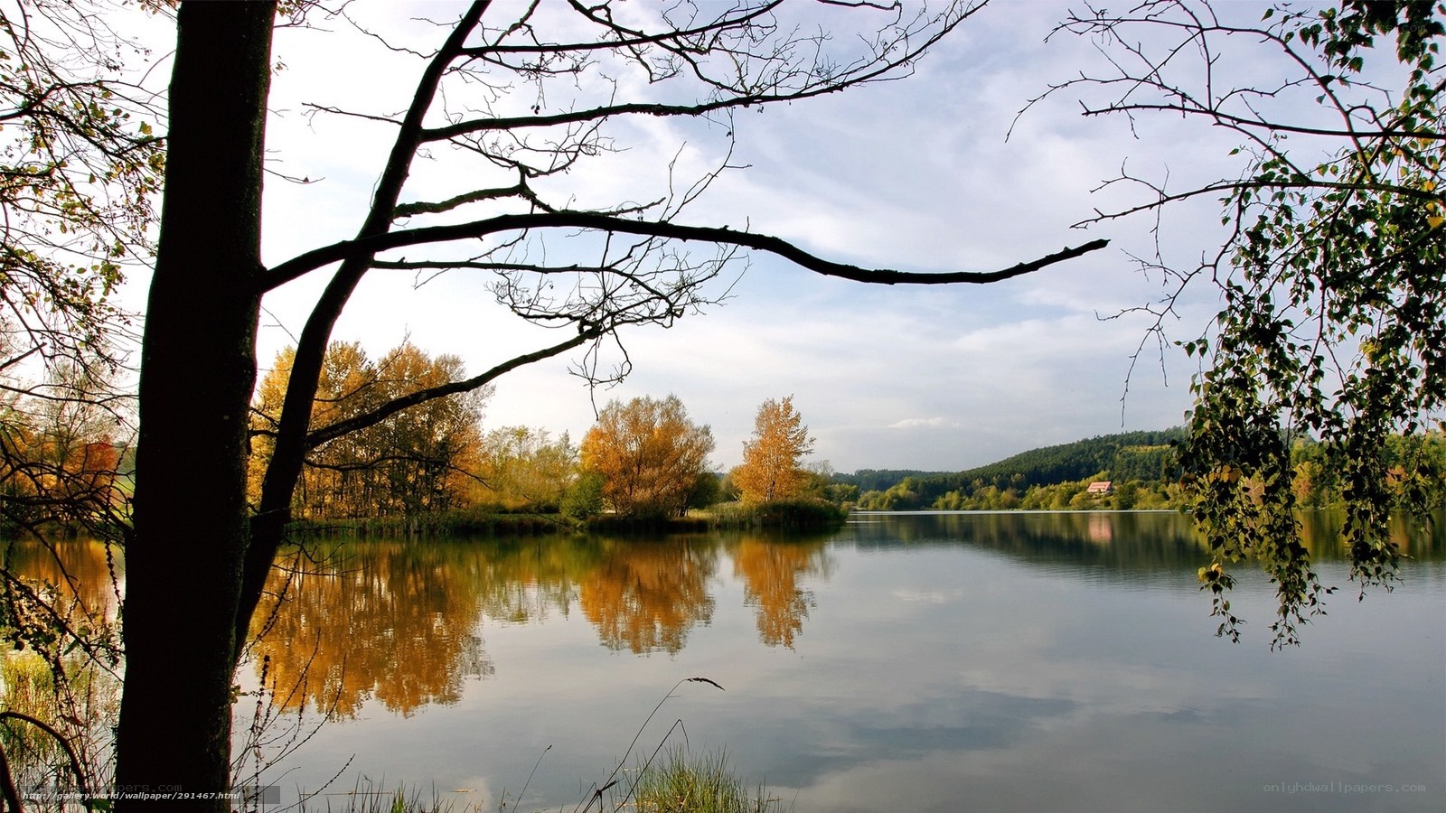 Autumn lake with tree reflections