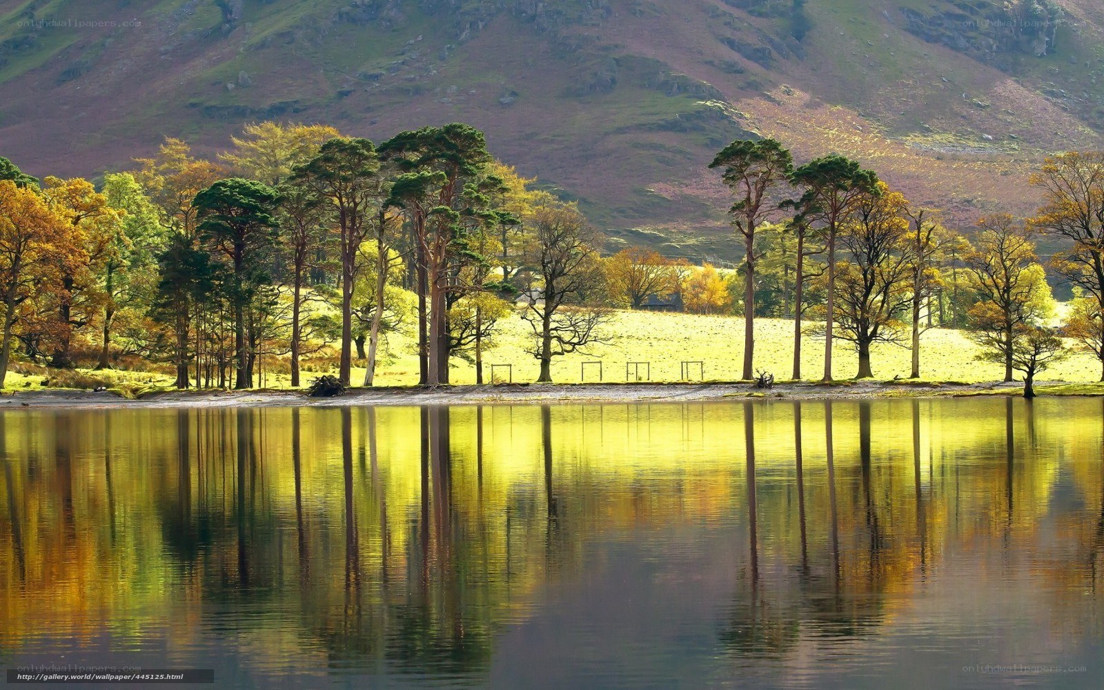 Autumn lake with tree reflections