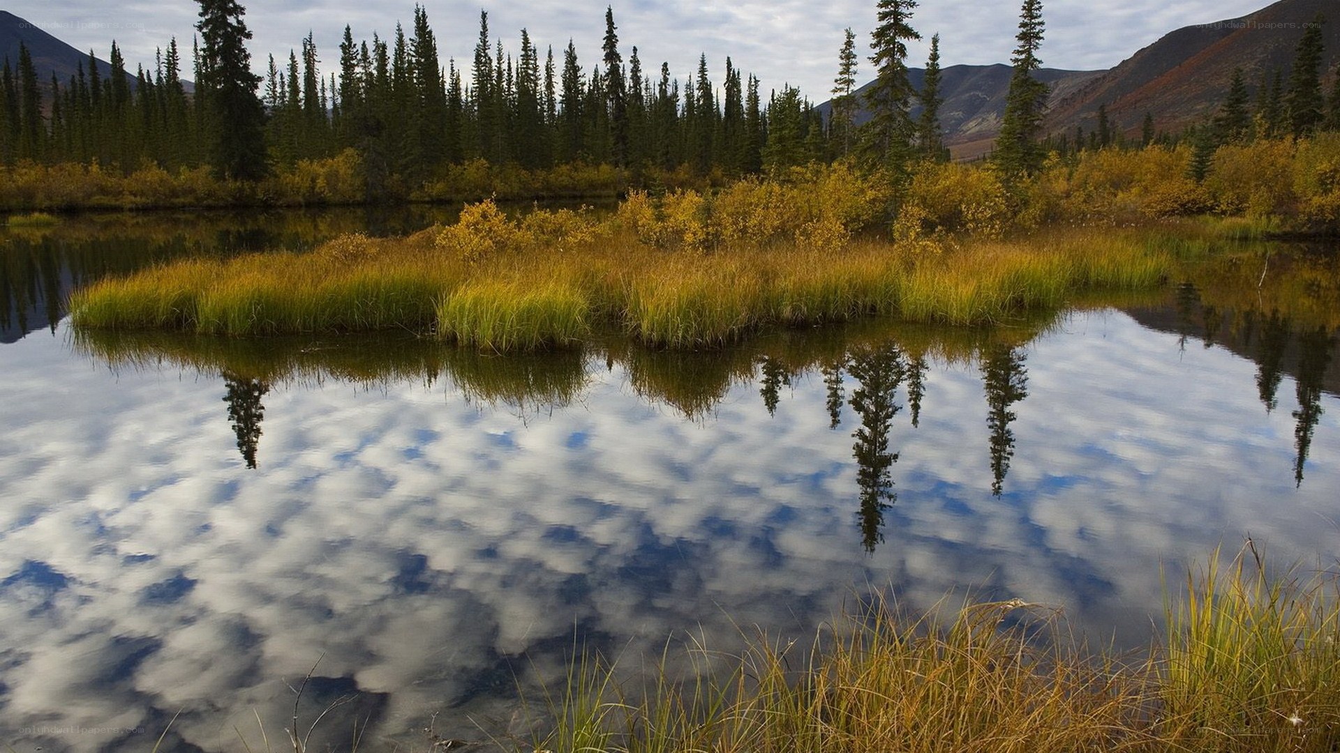 Autumn lake with tree reflections