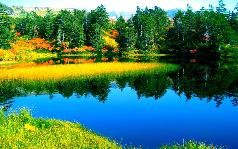 Autumn Lake with Trees — Blue, Serene, Photograph, Forest