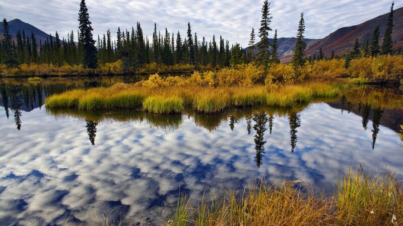 Autumn Lake with Trees — Blue, Serene, Photograph, Mountains, Reflection