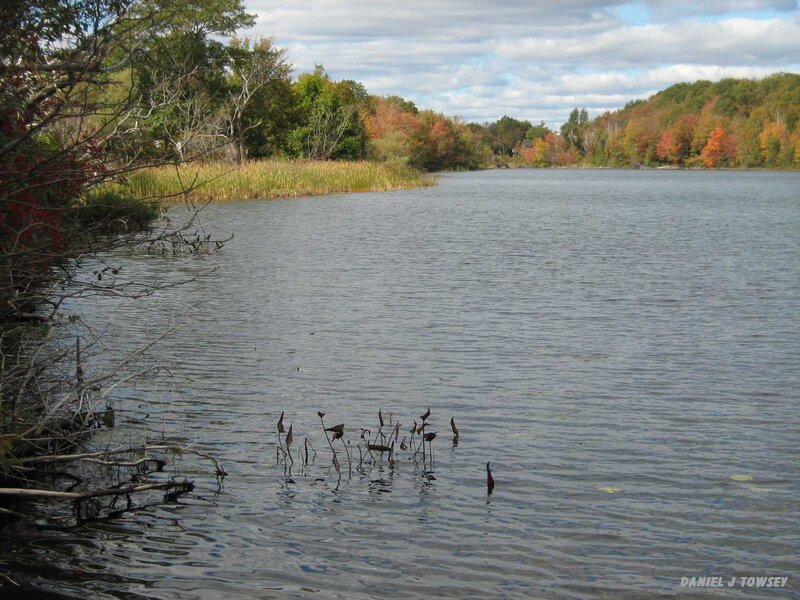Autumn Lake with Trees — Blue, Serene, Photograph, Water