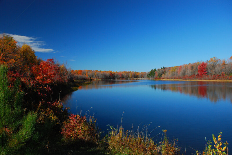 Autumn Lake with Trees — Blue