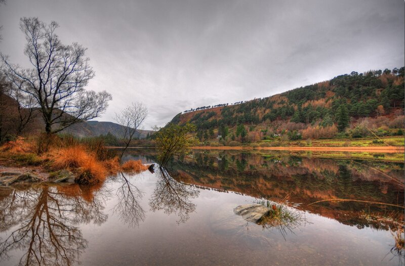 Autumn Lake with Trees — Brown