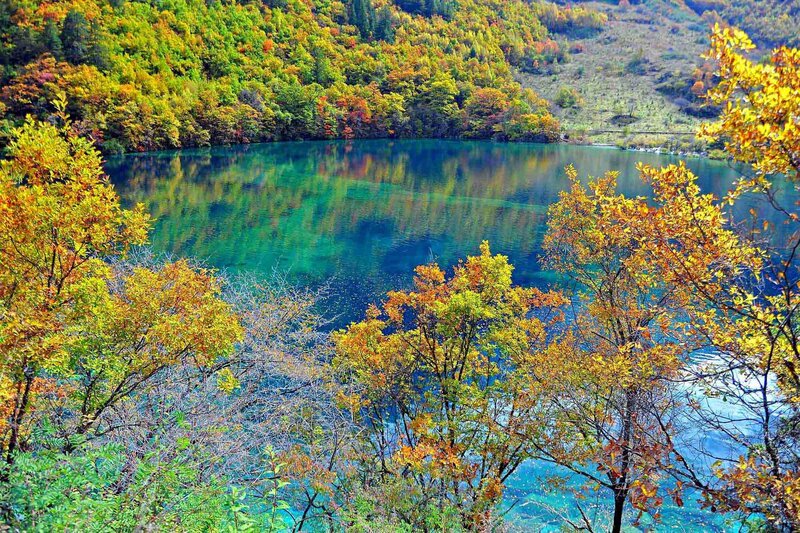 Autumn Lake with Trees — Green