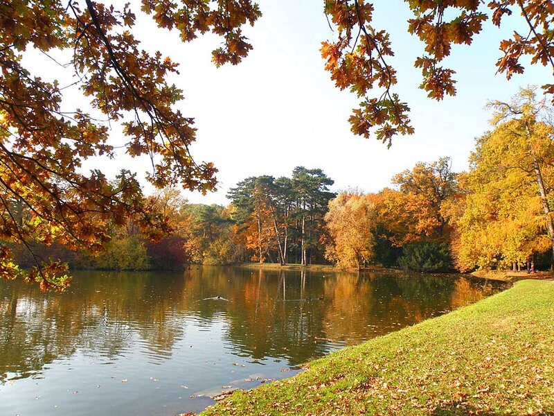 Autumn Lake with Trees — Orange