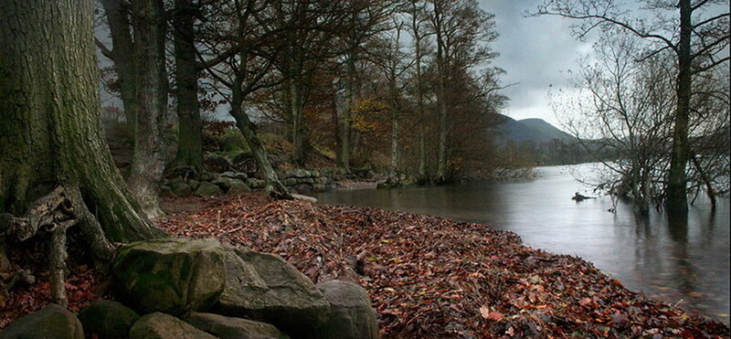 Autumn lakeside forest scene