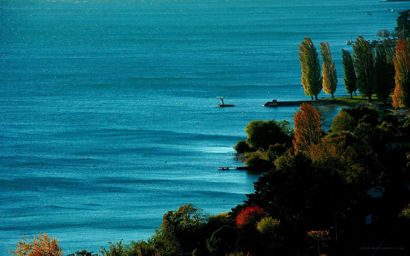 Autumn lakeside view