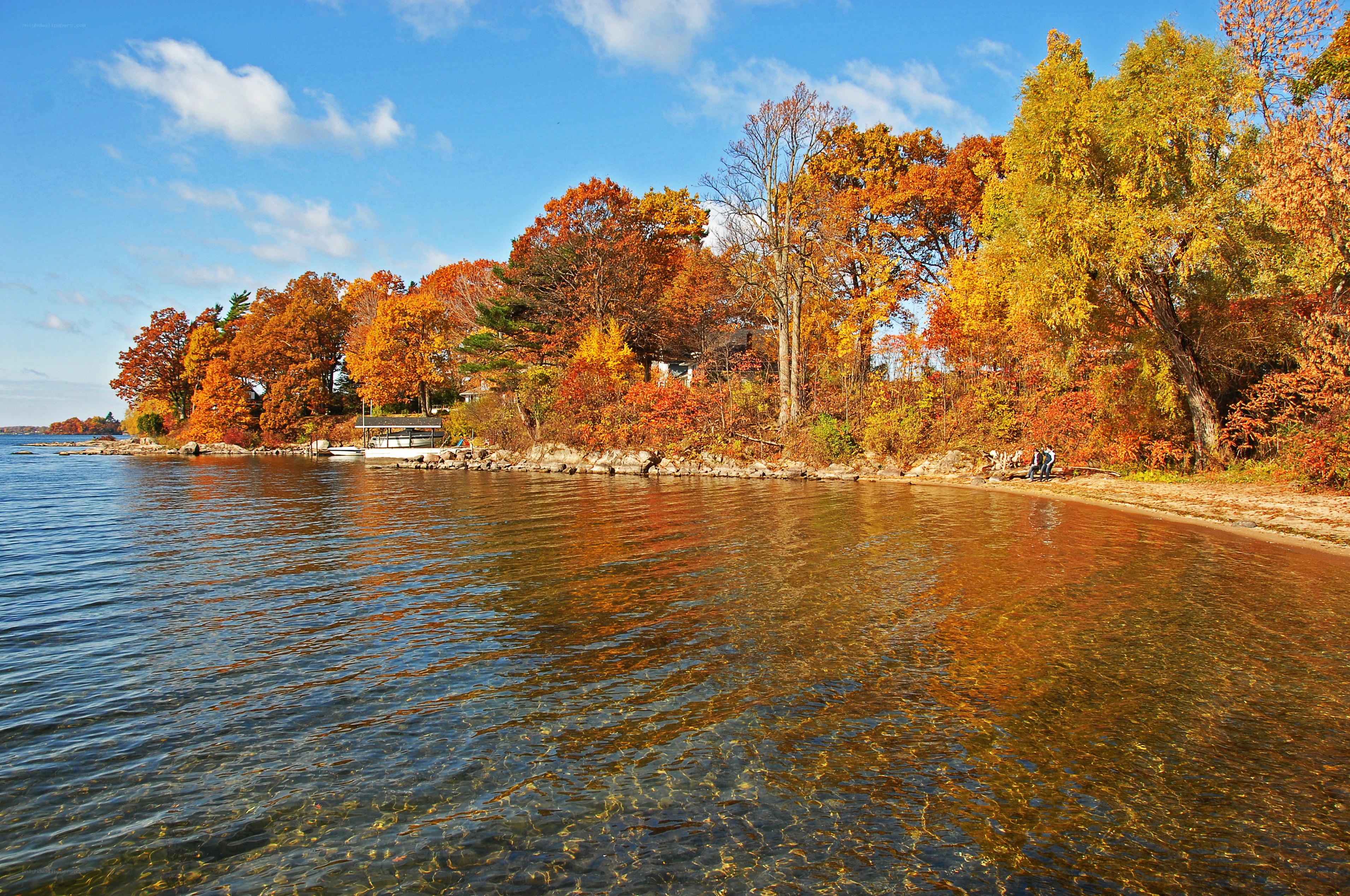Autumn lakeside with colorful trees