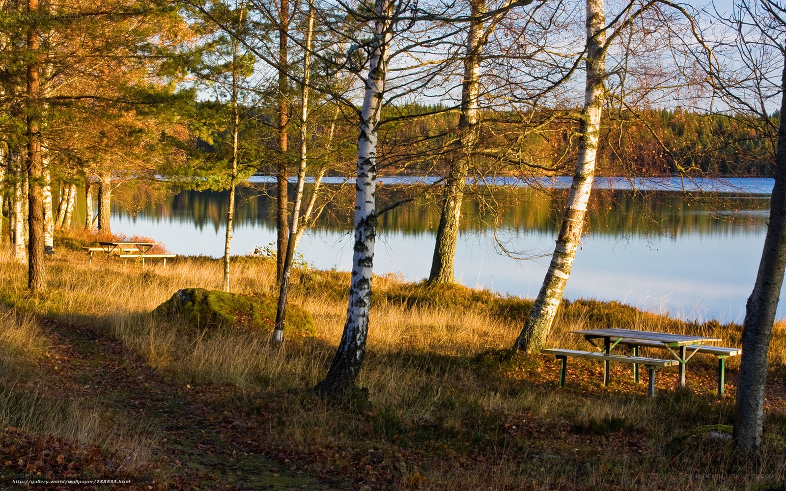 Autumn lakeside with picnic tables