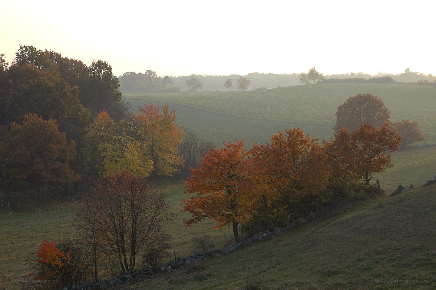 Autumn landscape at dawn