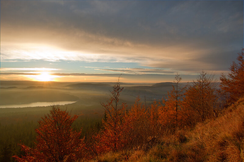Autumn Landscape at Sunrise