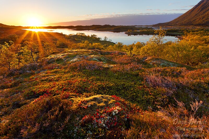 Autumn Landscape at Sunset — Green, Serene