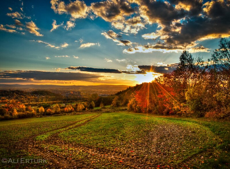 Autumn Landscape at Sunset — Green