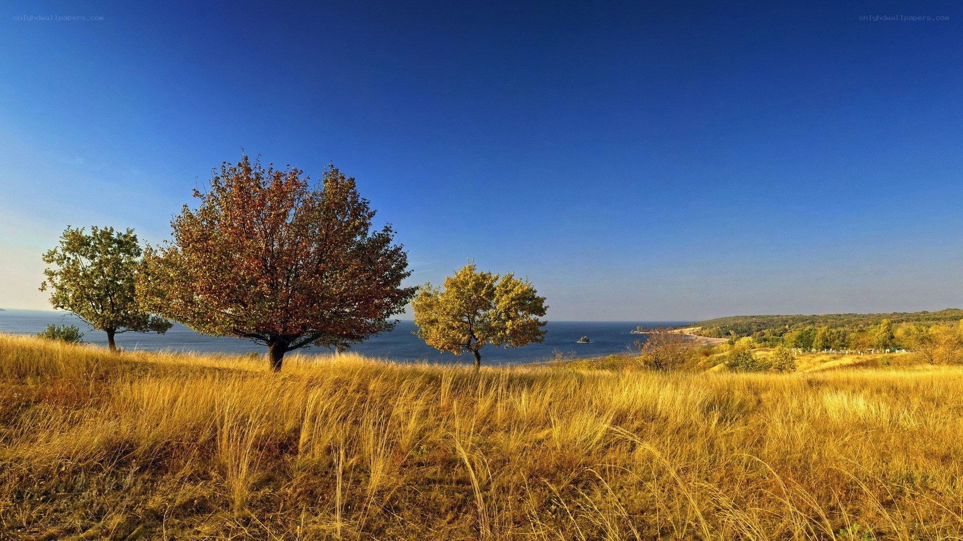 Autumn landscape by the sea