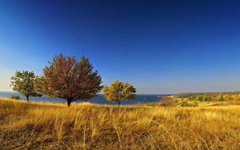 Autumn landscape by the sea