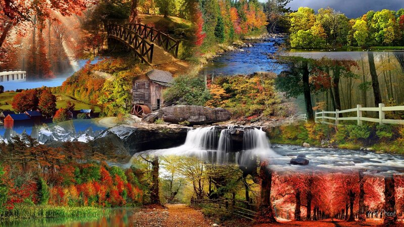autumn landscape collage