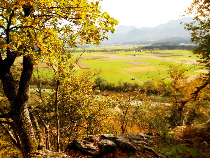 Autumn Landscape View