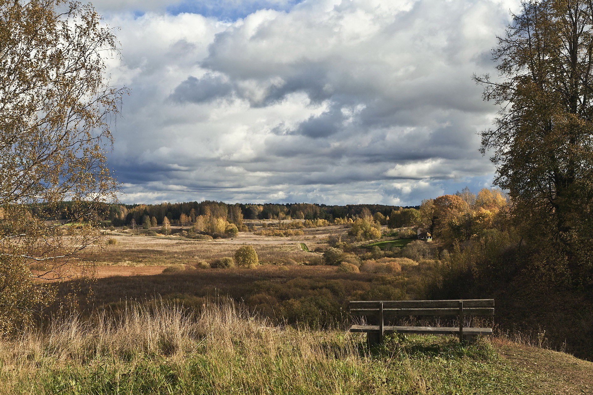 Autumn landscape with bench