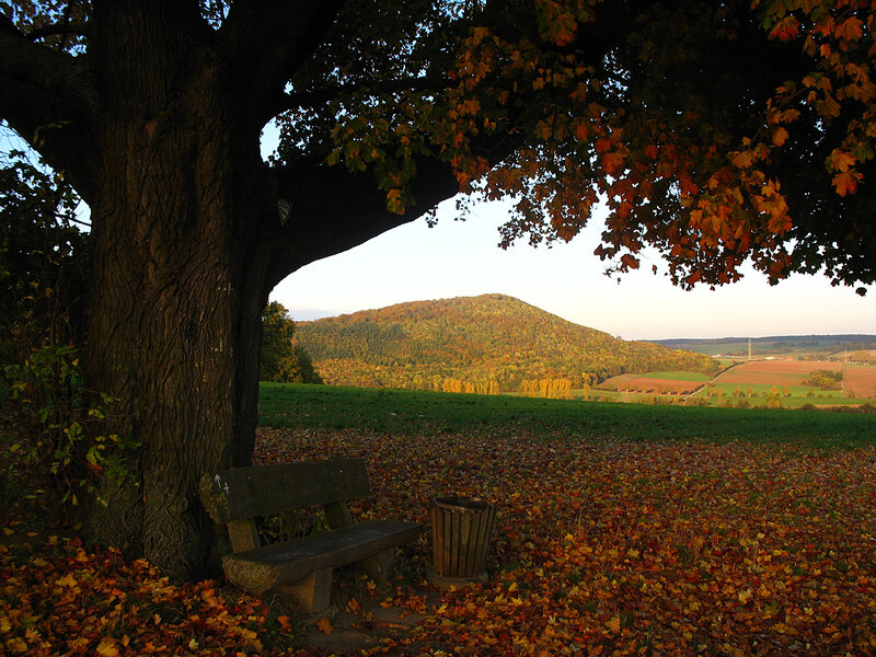 Autumn Landscape with Bench — Orange