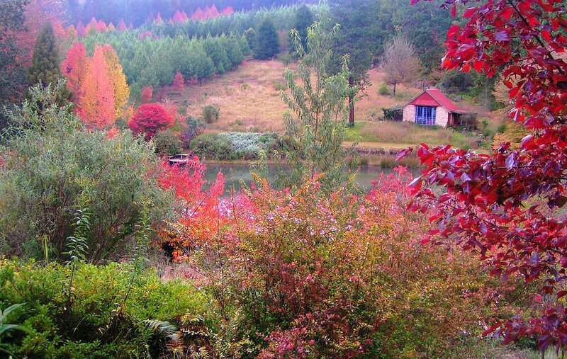 Autumn landscape with cabin