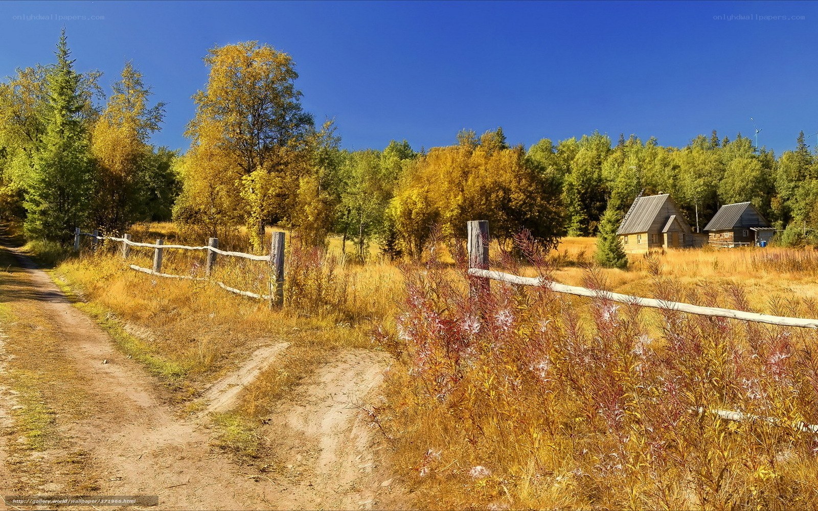 Autumn landscape with cabins