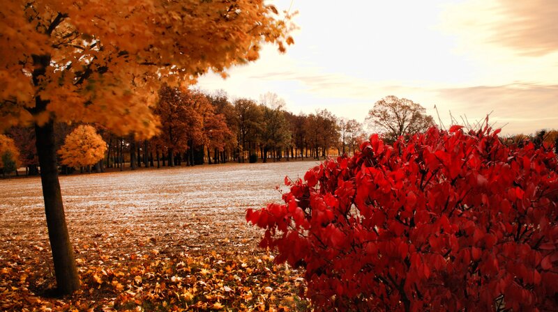 Autumn landscape with colorful foliage