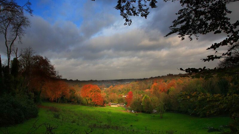 Autumn landscape with colorful trees