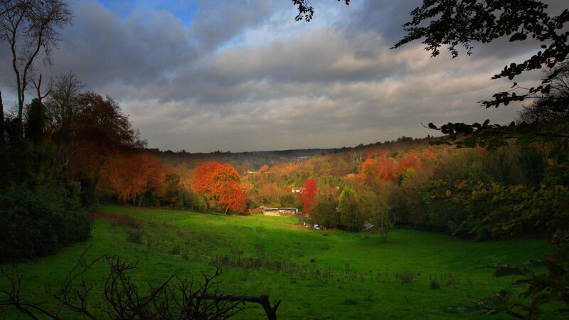 Autumn landscape with colorful trees