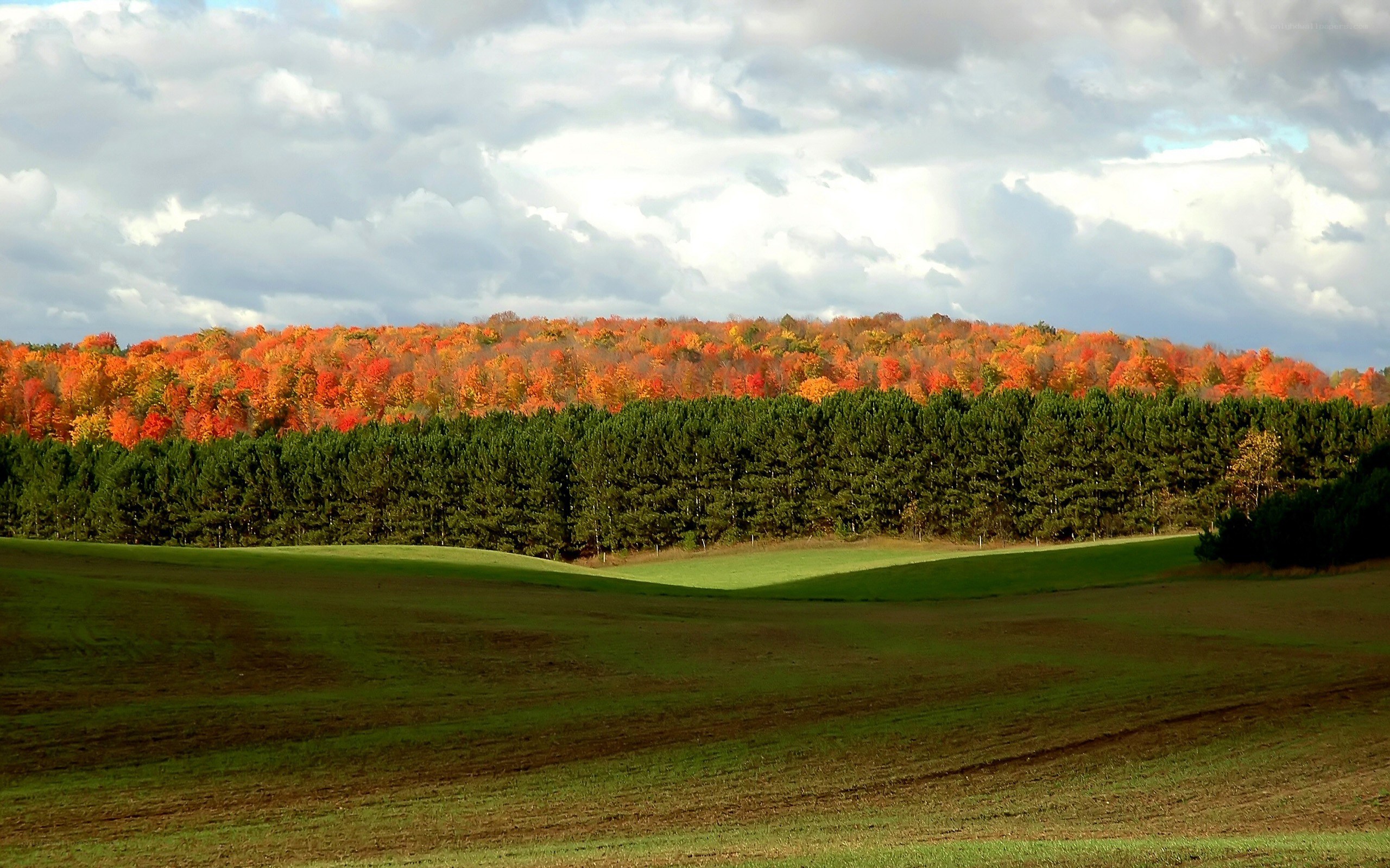 Autumn landscape with colorful trees