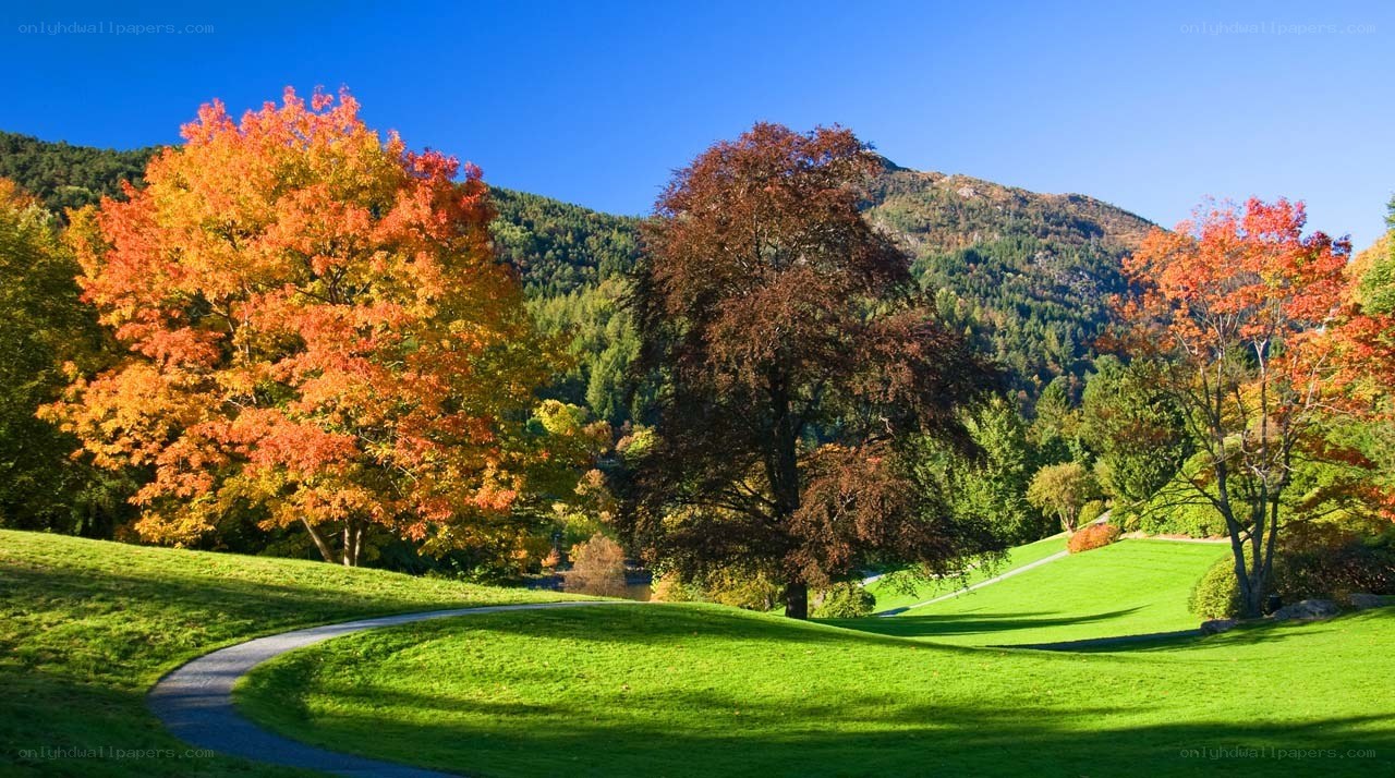 Autumn landscape with colorful trees