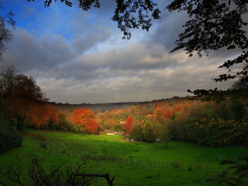 Autumn landscape with colorful trees