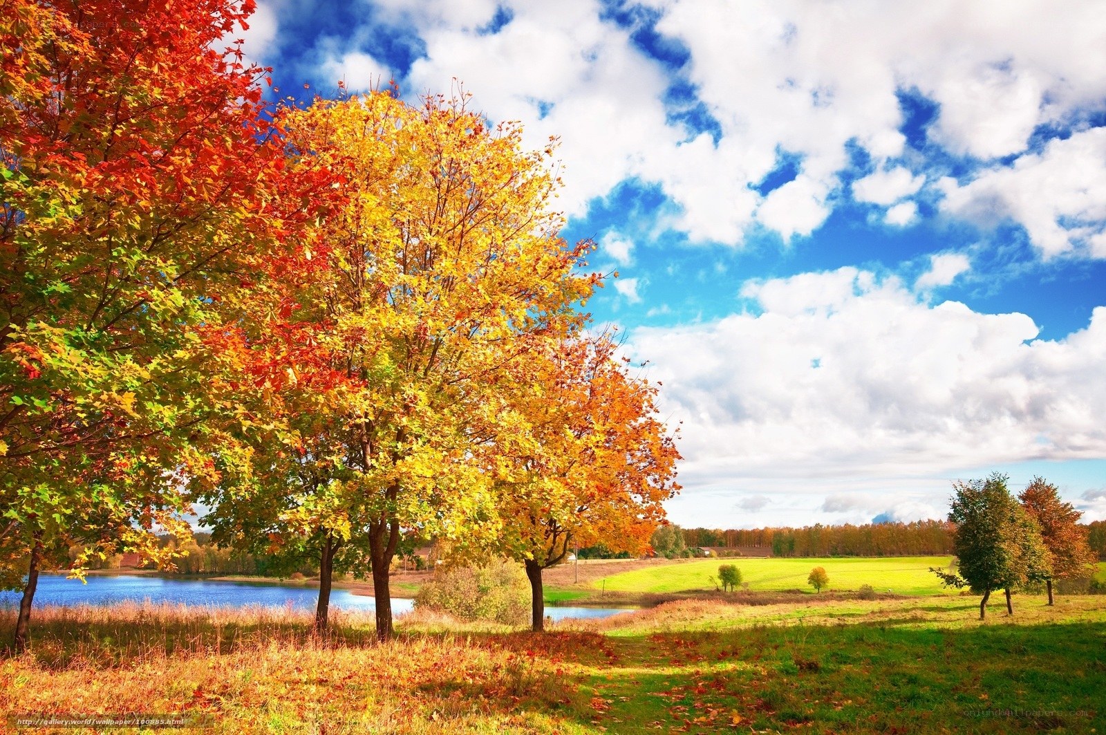 Autumn landscape with colorful trees