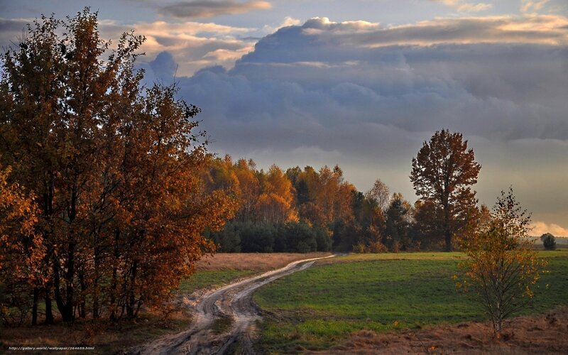Autumn landscape with dirt road