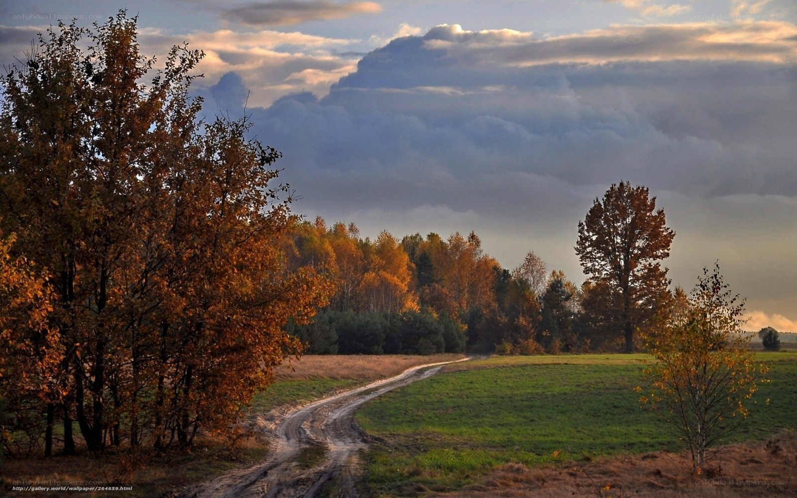 Autumn landscape with dirt road